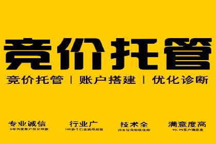 百度竞价推广公司成功经验分享：广告投放的技巧与策略